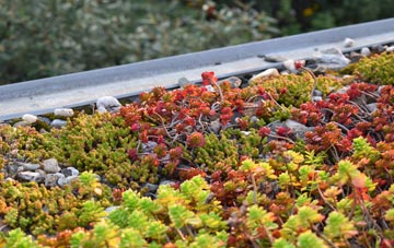 the cost of Old Shirley green roof installation