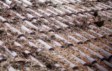 Old Shirley roof cleaning companies