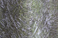 Old Shirley fibreglass roof work